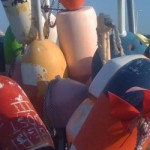 buoys in water