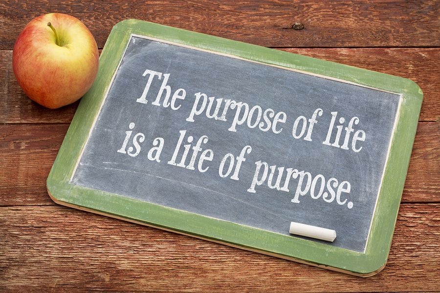 How to find your purpose?